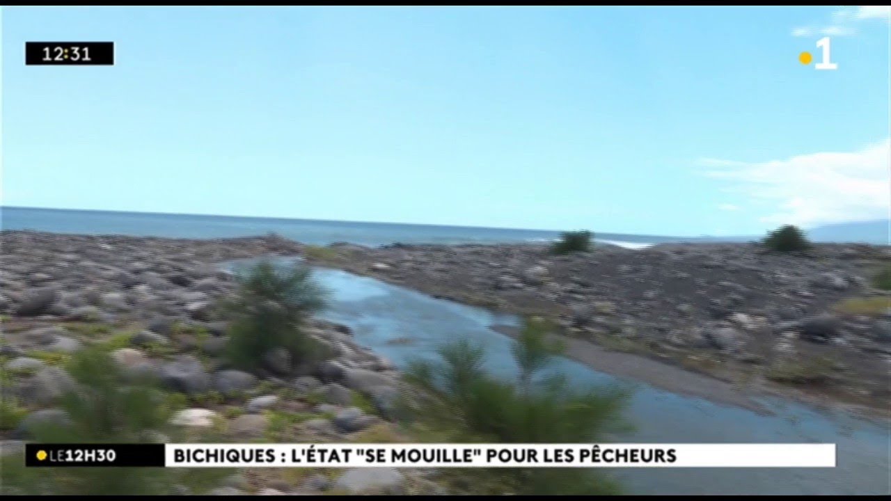 Bichiques : l'Etat 