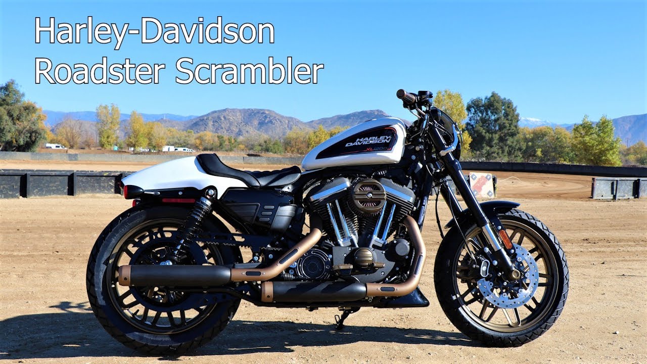 Harley Roadster Converted into a Scrambler/Street Tracker