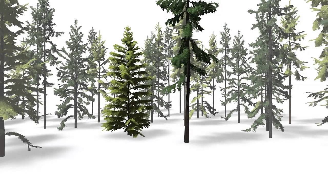 Inverse Procedural Modeling of Trees