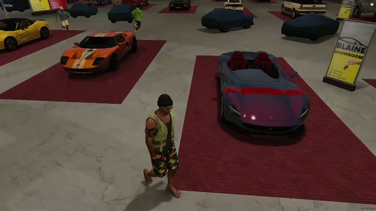 (مزاد المركبات في مقاطعة بلاين)