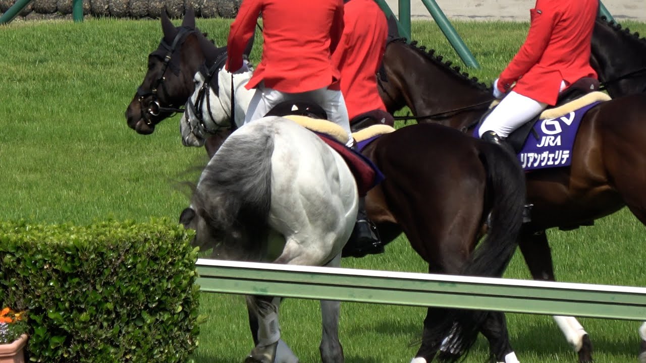 【誘導馬】サトノオンリーワン レース実況を聴いていて興奮してきた!? 埒を蹴っちゃう 現地映像