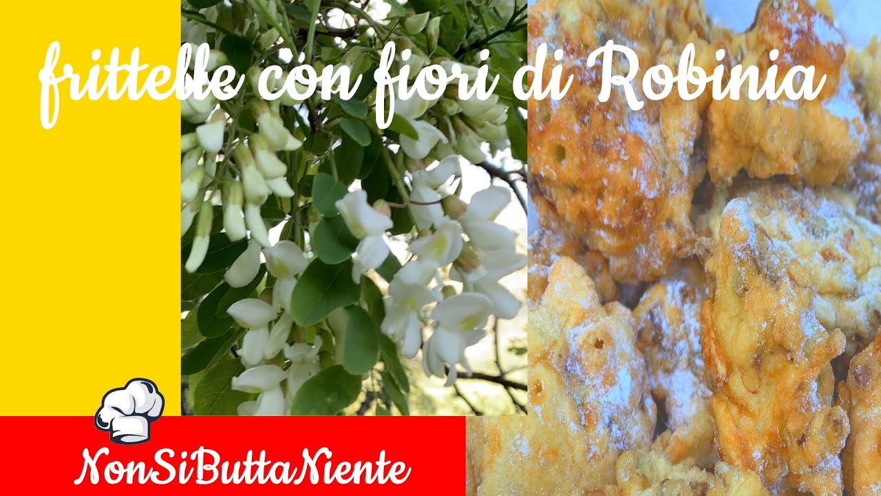 Frittelle con fiori di Robinia