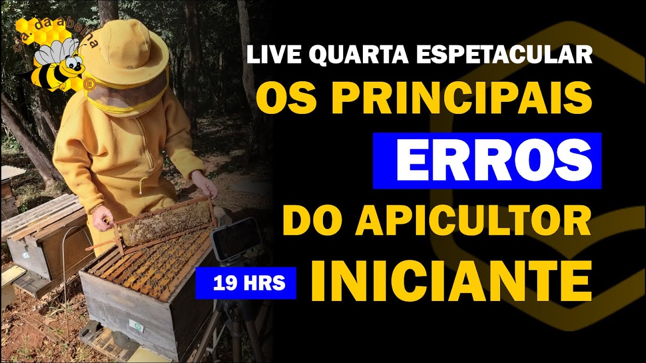 OS PRINCIPAIS ERROS DO APICULTOR INICIANTE -  Live Quarta Espetacular -  Prof Armindo Vieira Jr.