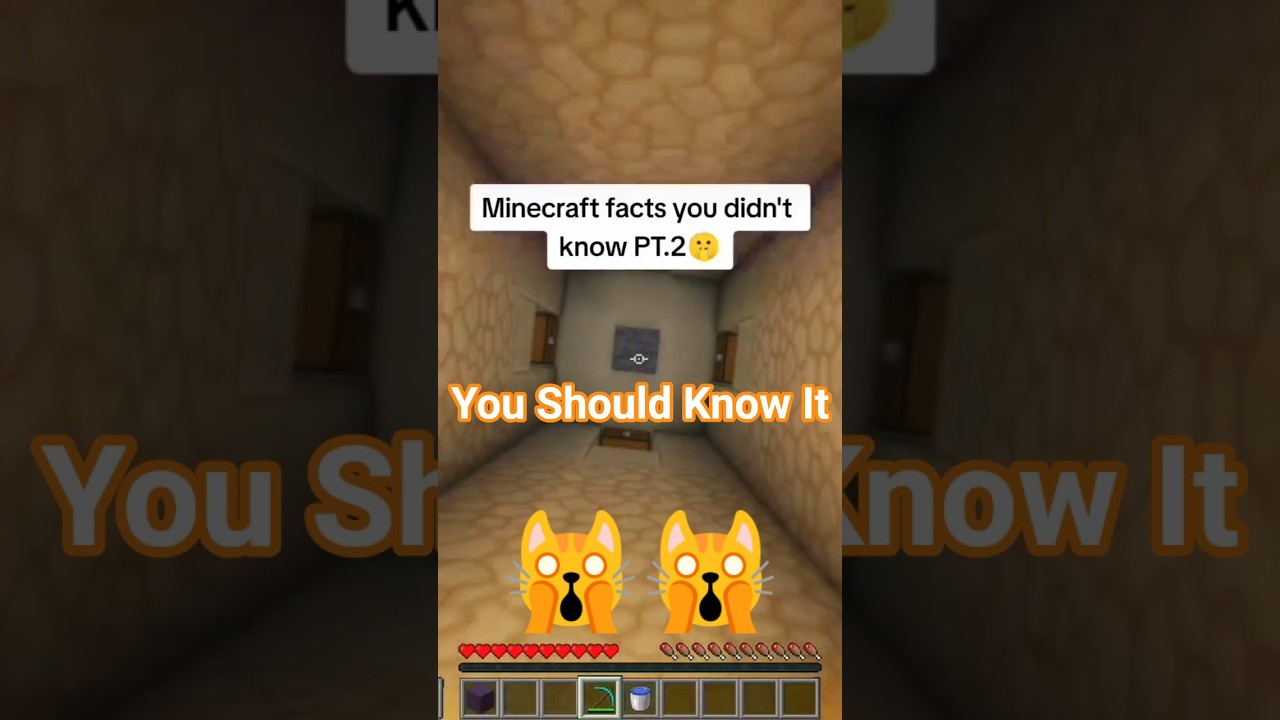 "Minecraft ke ye 3 Secret Features koi nahi janta! 😱 