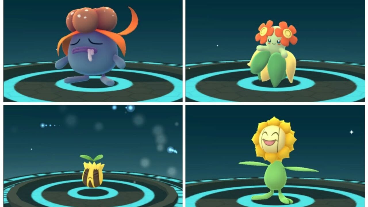 SUN STONE: Gloom evolving into Bellossom and Sunkern evolving into Sunflora - POK&Eacute;MON GO