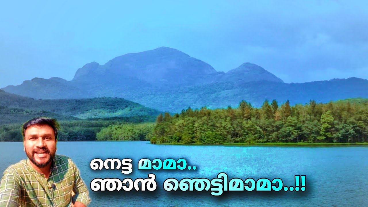 നെട്ട മാമാ..!! ഞാൻ ഞെട്ടി മാമാ..!! | Netta view point | netta | chittar dam
