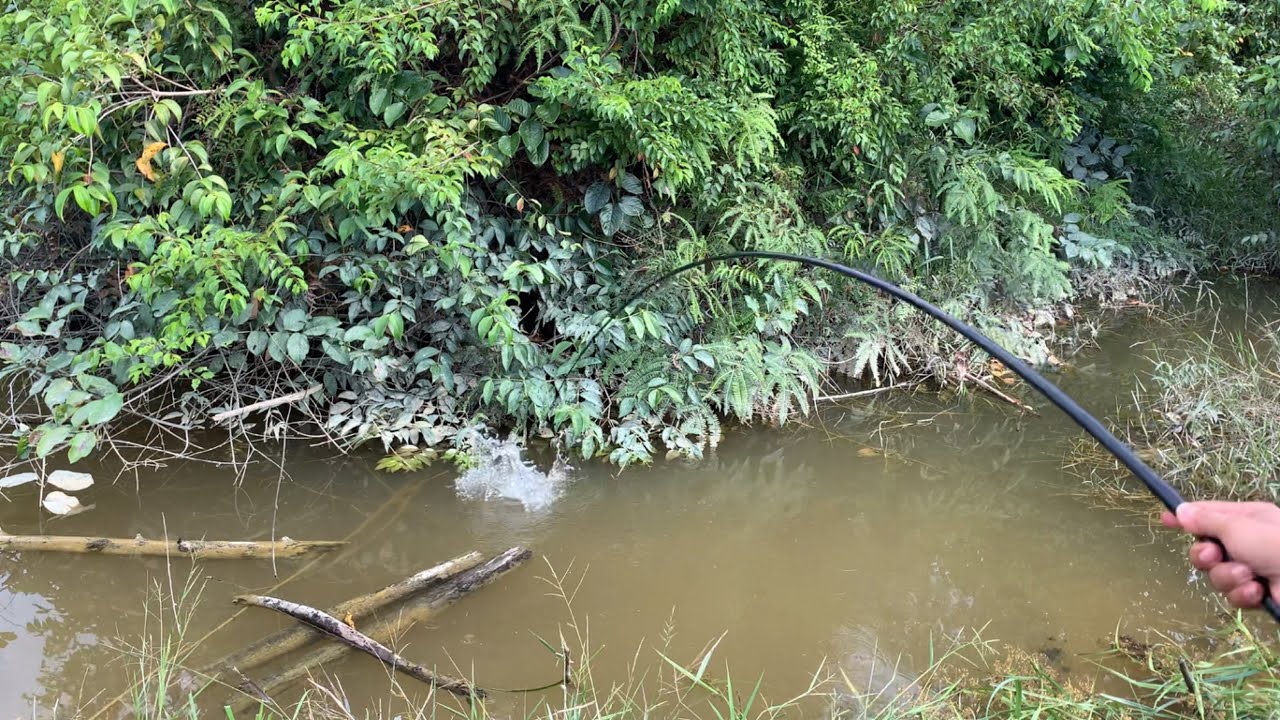 INI DIA.!!! SPOT PALING DI CARI ORANG MANCING ISI NYA IKAN BESAR SEMUA