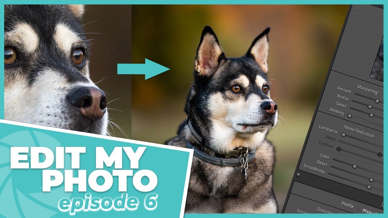Edit My Photo Episode 6 - Easy Noise Reduction in Lightroom