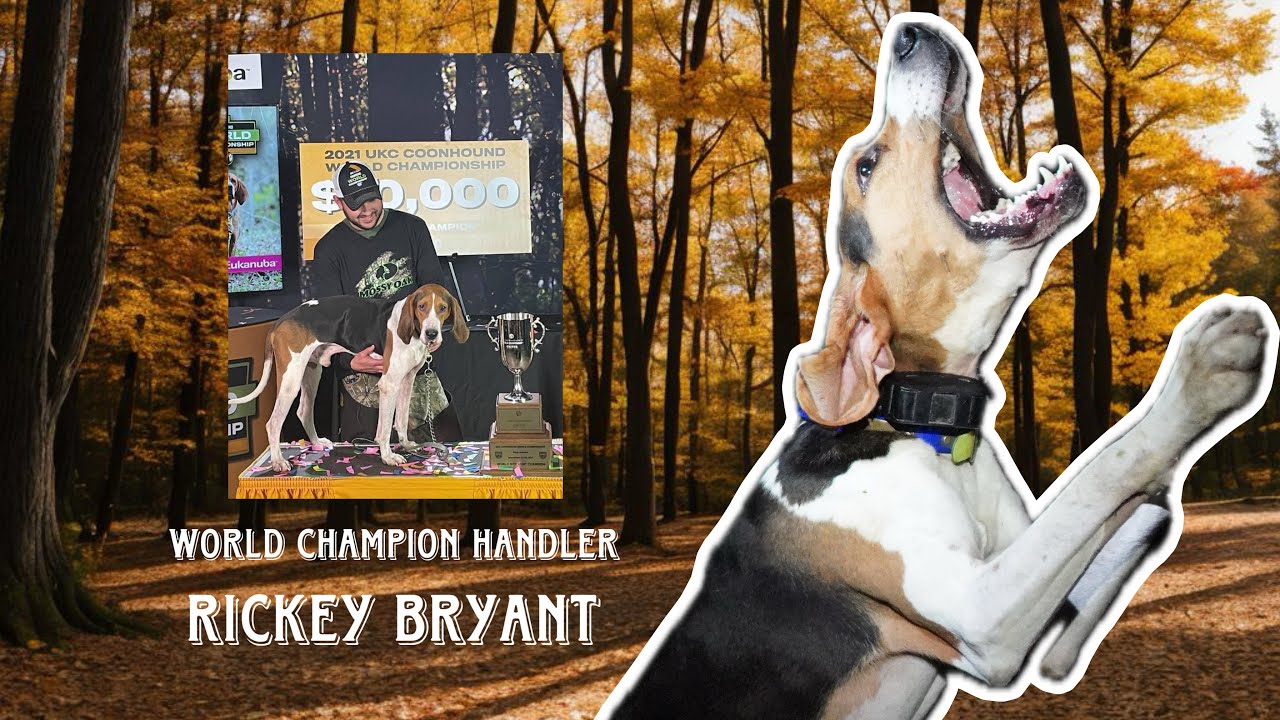 Coon Hunting with World Champion Handler Rickey Bryant and Double Whacked Black Jack