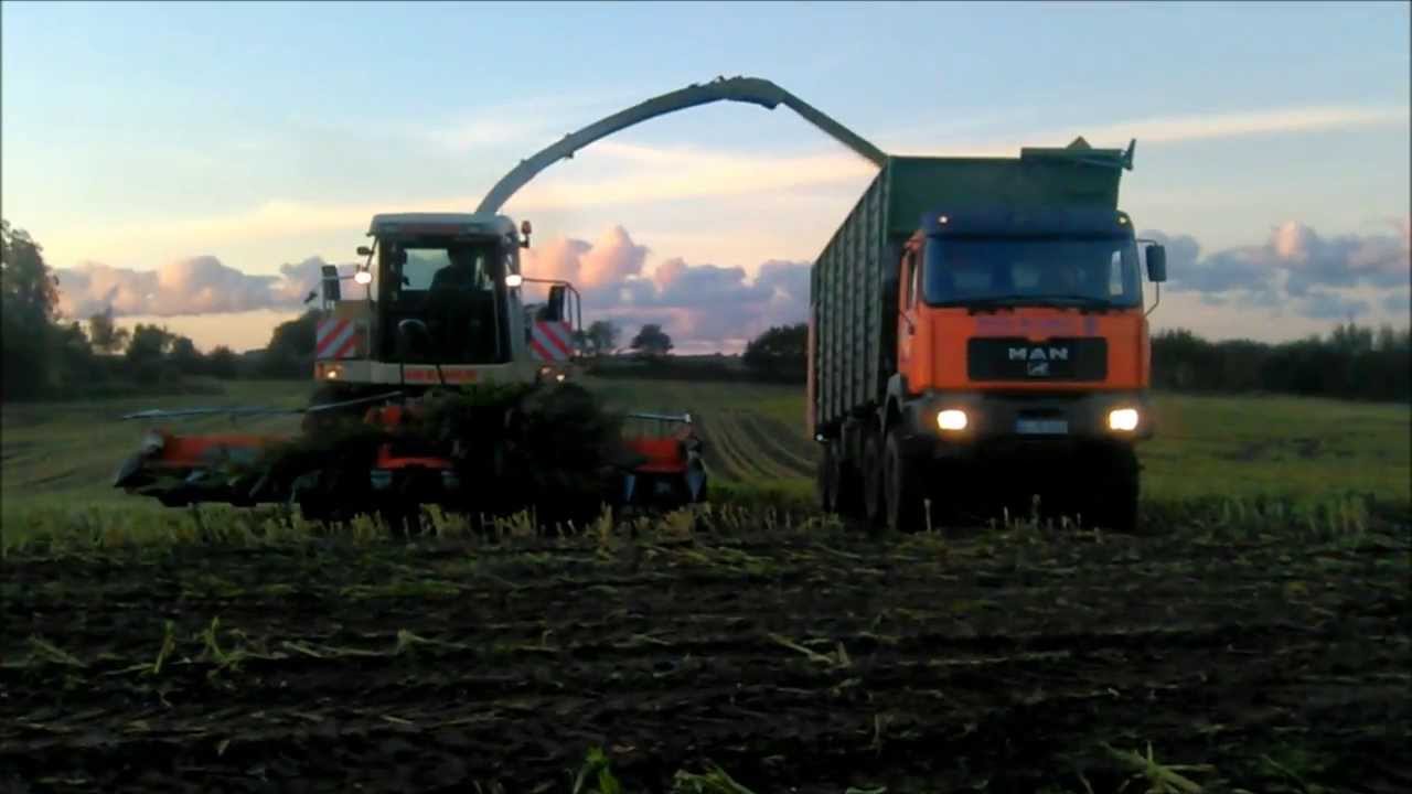 Claas Jaguar 860 - Maishäckseln in der Abenddämmerung - LU Sönke Berndsen