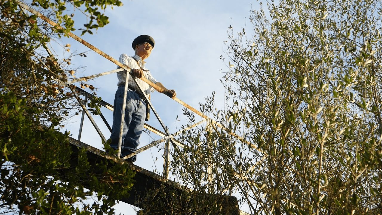 Entre o passado e o presente dos Guarda-Rios