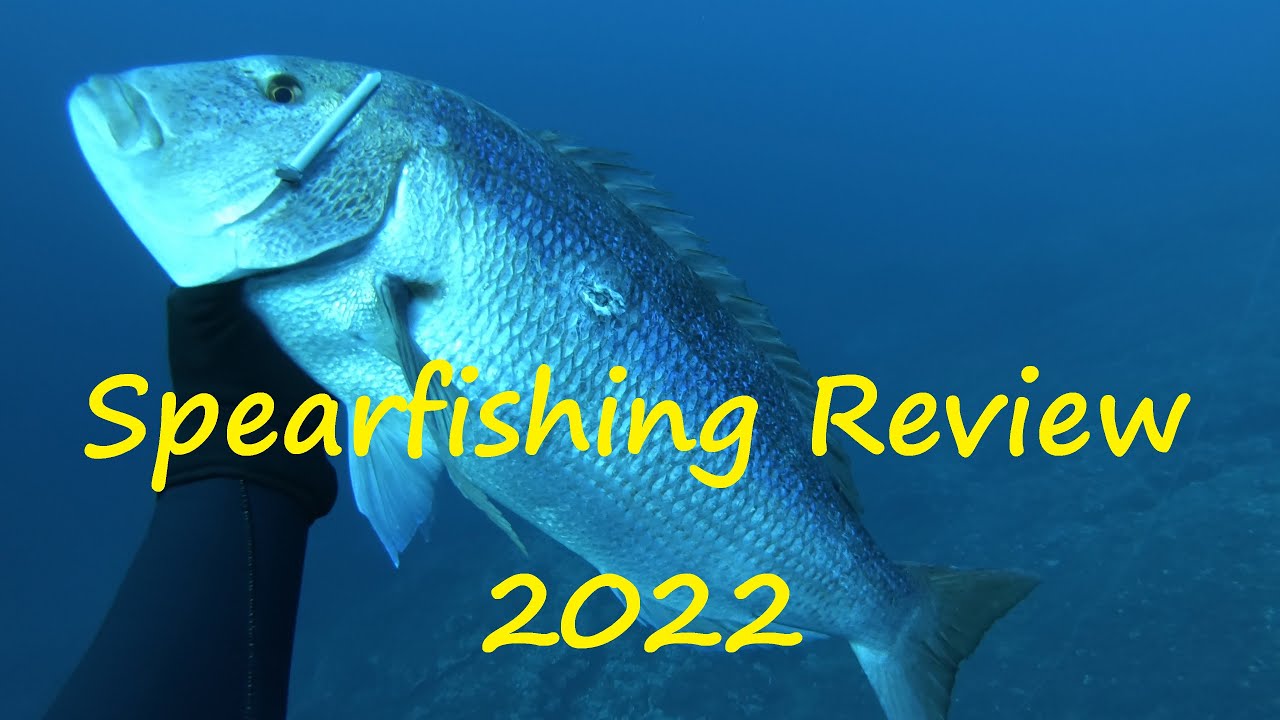 2022 Spearfishing Review