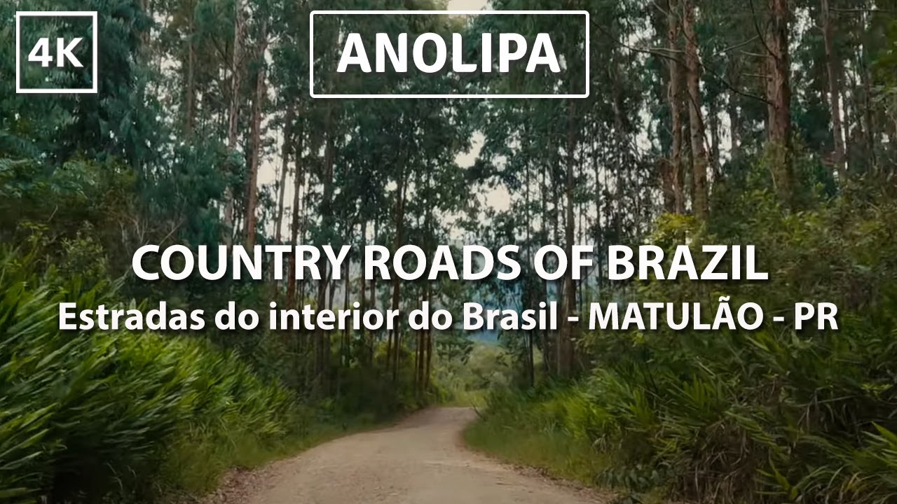 Driving Country roads of Brazil [4K] Countryside roads - Matulão - PR