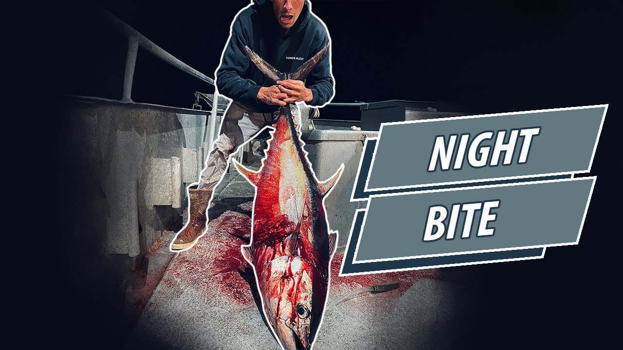 Night Bite - 11 Tuna Caught on Big Jamaica!