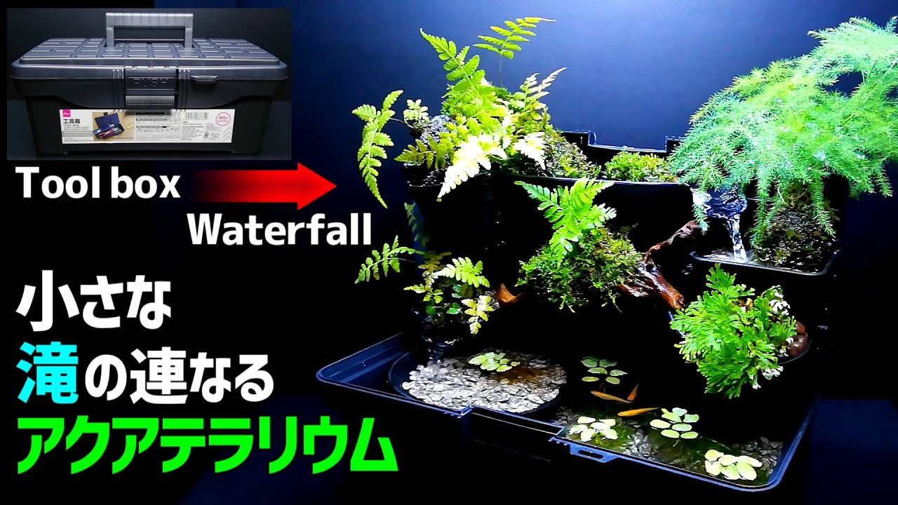 メダカの【小さな滝の連なるアクアテラリウム】作り方｜100均DIY｜滝のアクアリウム｜苔テラリウム