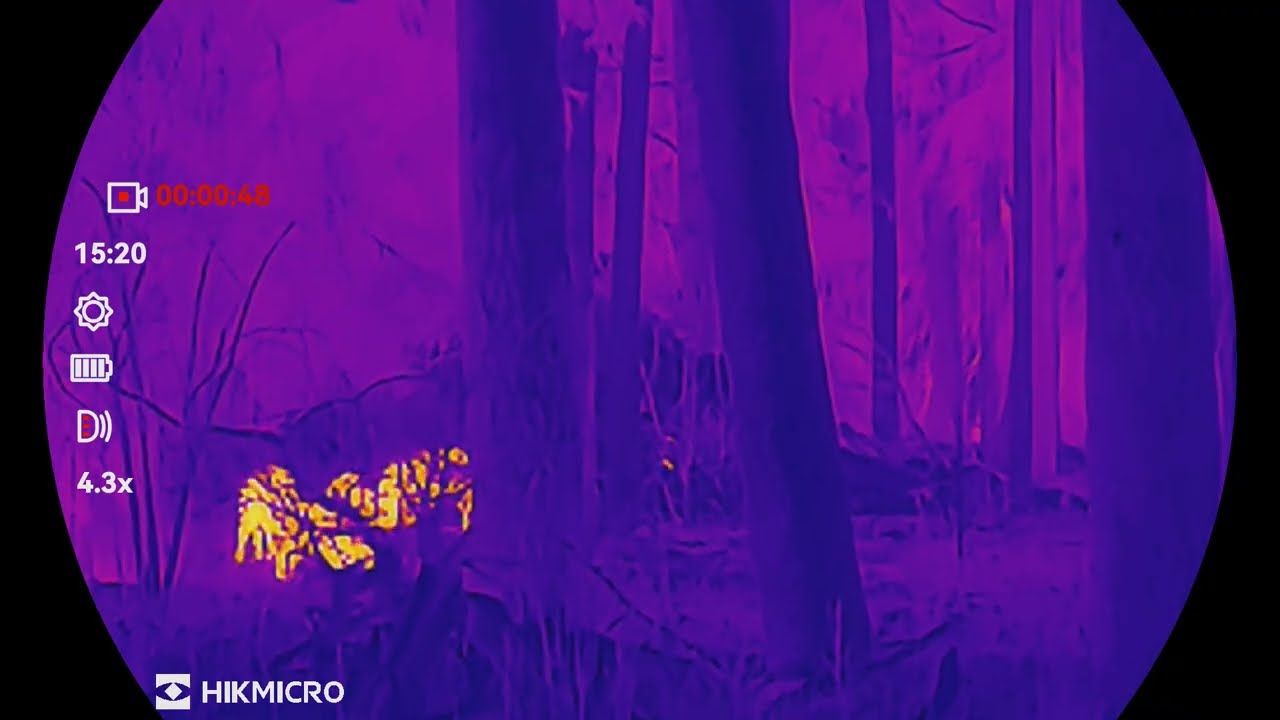 Šernai per HIKMICRO HABROK 4K 2.0 HE25L ekraną