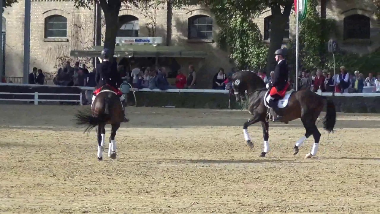 Pas de Deux - Hengstparade NRW-Landgestüt Warendorf 2019