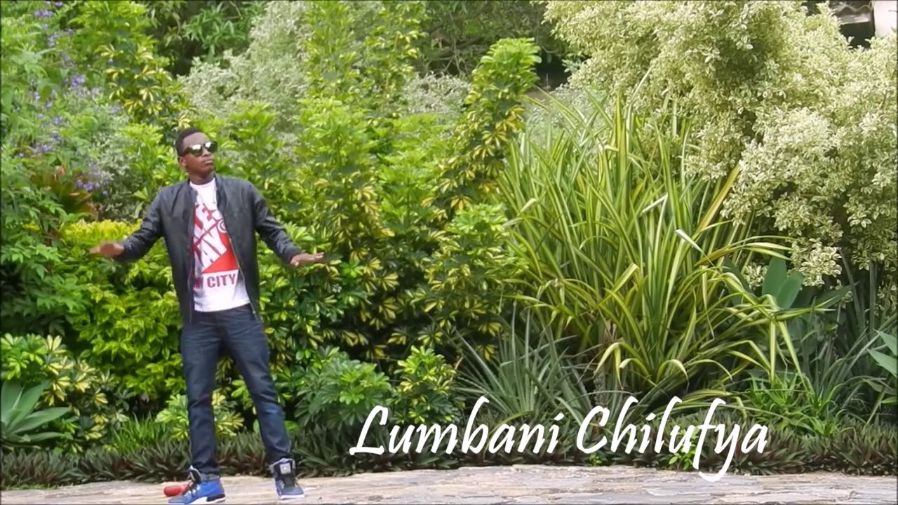 Lumbani Chilufya - Animal