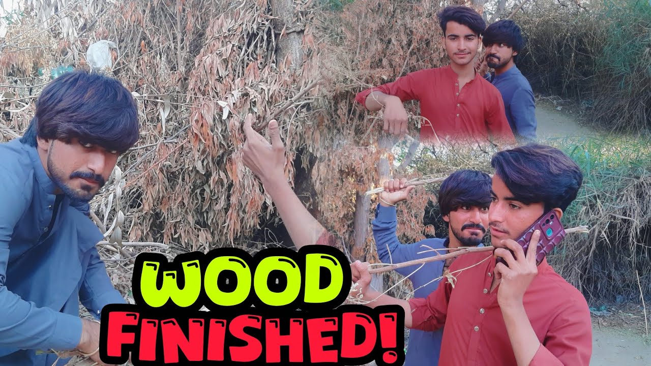Wood Finished at Home 😱 | We Went to Get Wood and Had Fun 😂 | Village Vlog