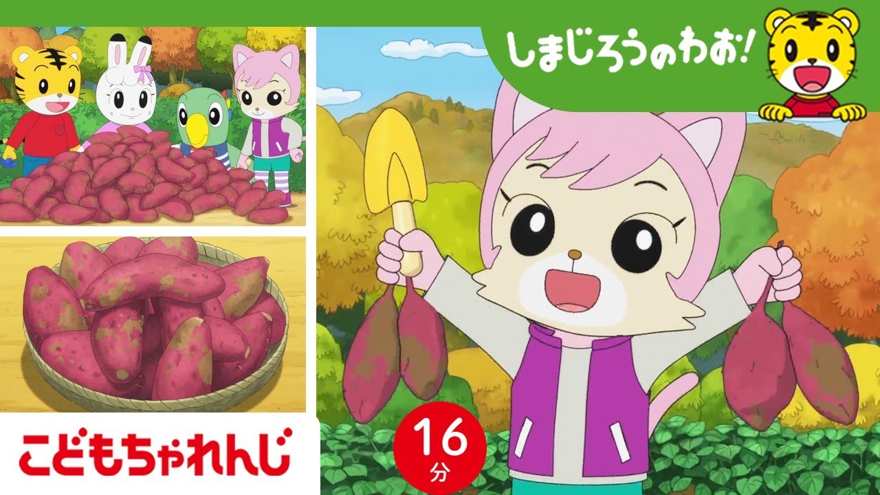 【16分アニメ】みんなで楽しくお芋をほろう♪ | 芋ほり・季節のイベント | しまじろうのわお！アニメ | しまじろうチャンネル公式