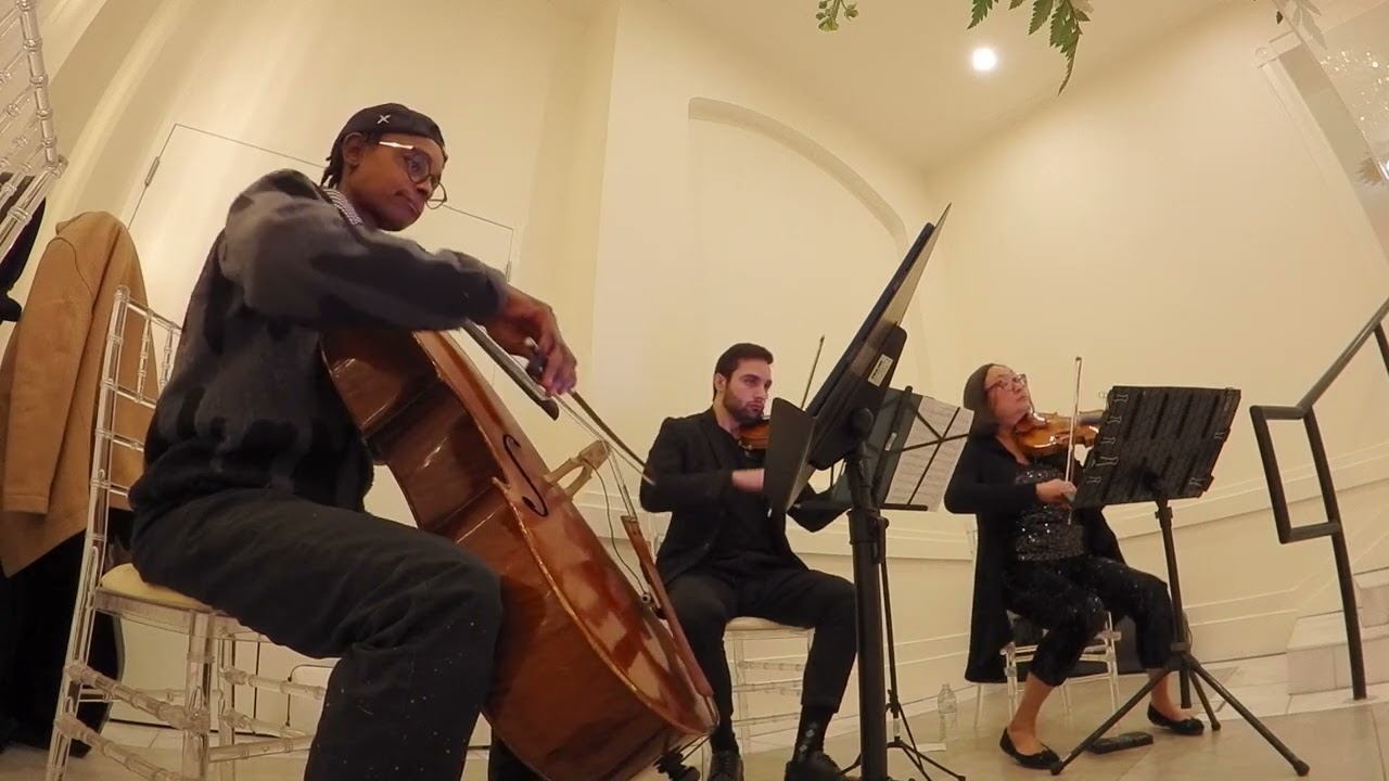 Flashing Lights by Kanye West - String Trio by Serenata Strings DFW