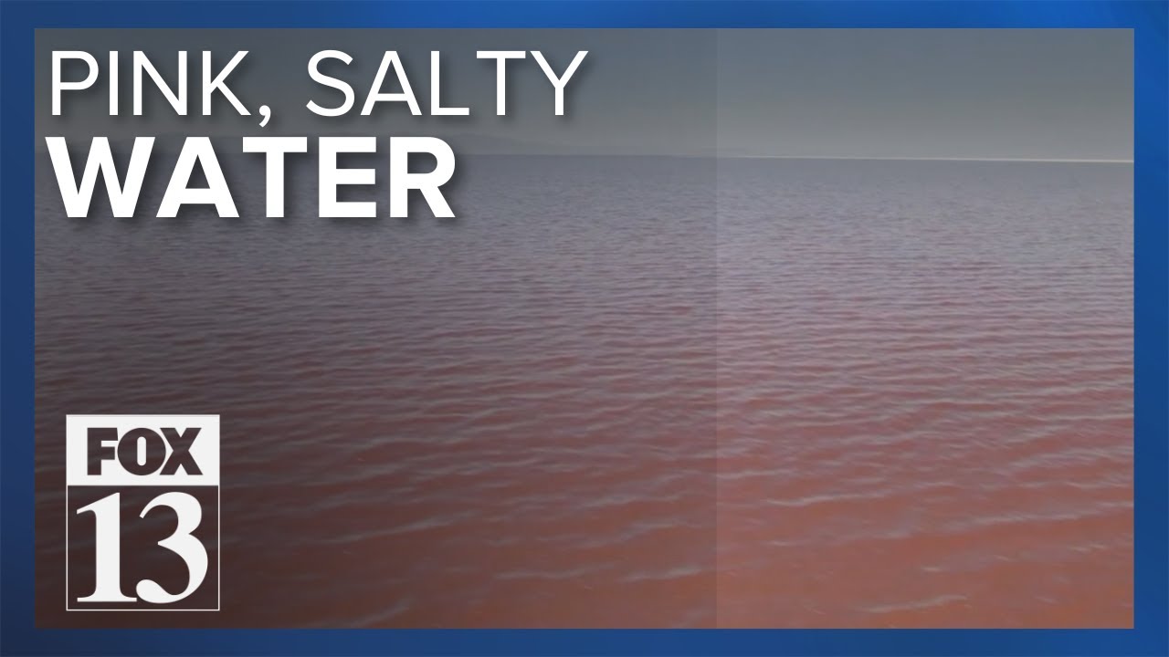 The surprising pink color of Great Salt Lake's northern portion explained
