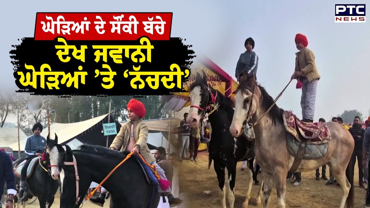 Little Child On Hourse :ਤੀਜੀ ਤੇ ਪੰਜਵੀ ਜਮਾਤ ਦੇ ਬੱਚੇ ਭਜਾਈ ਫਿਰਦੇ ਨੇ ਘੋੜੇ | Talwandi Sabo | Punjabi news