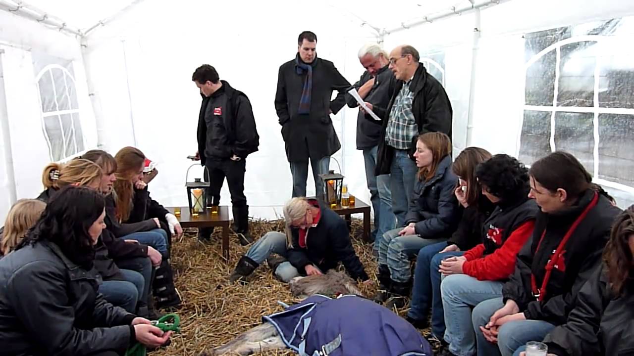 Stichting de Ezelshoeve: Afscheid Sisi 1965 - 26 februari 2011