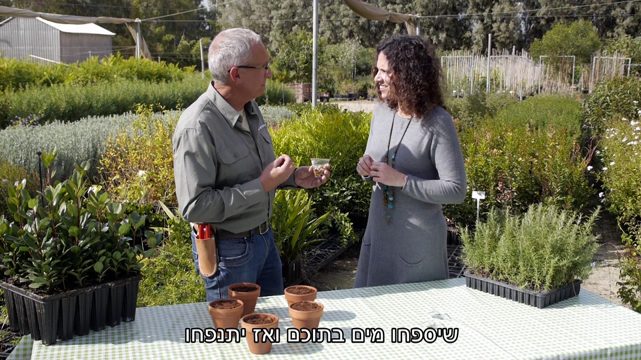 עשו זאת בעצמכם: הכנת שתילים מדהימים לכבוד ט
