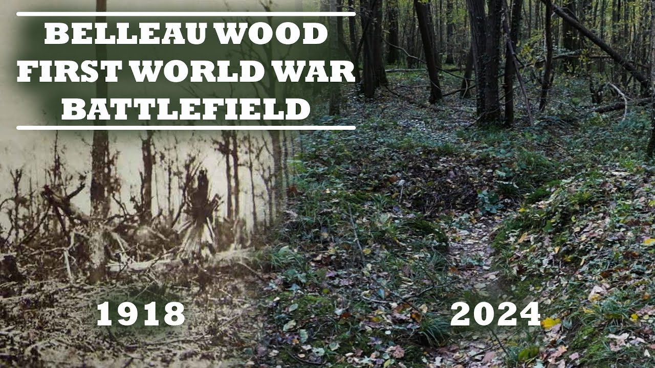 Walking Belleau Wood - Great War Battlefield Tour