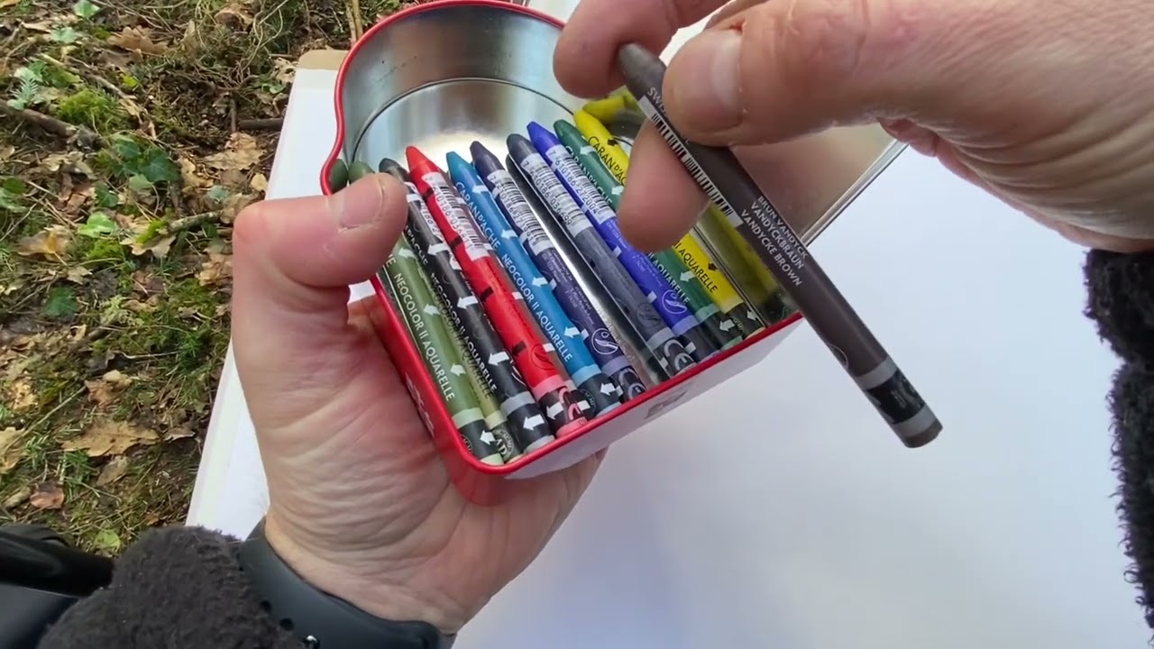 Plein Air - Hillsborough Forest - Using Caran D’Ache Neocolour 2