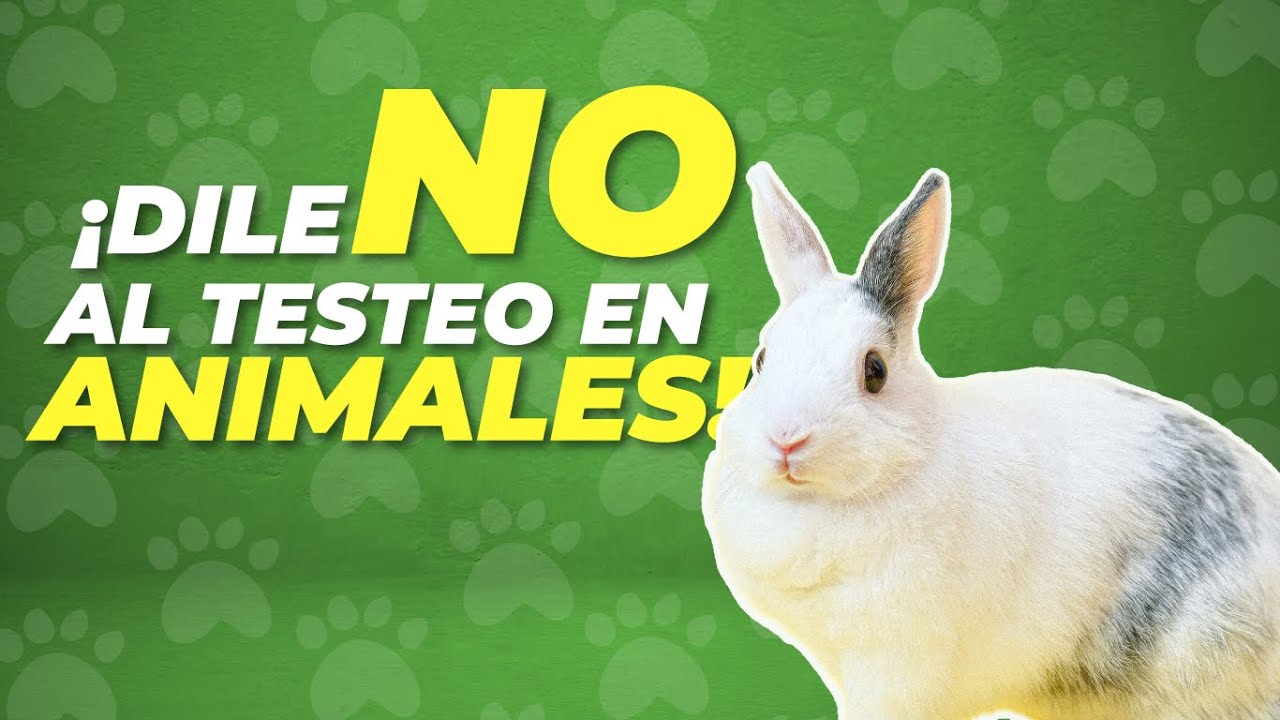 &iquest;C&oacute;mo saber si un PRODUCTO es TESTEADO en ANIMALES? 🐇💉&iexcl;Toma nota! 📝✅ | Agrocampo |