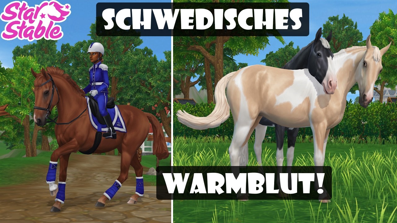 Die Schwedischen Warmblüter sind da! 🐴 | Star Stable Online [SSO Update]
