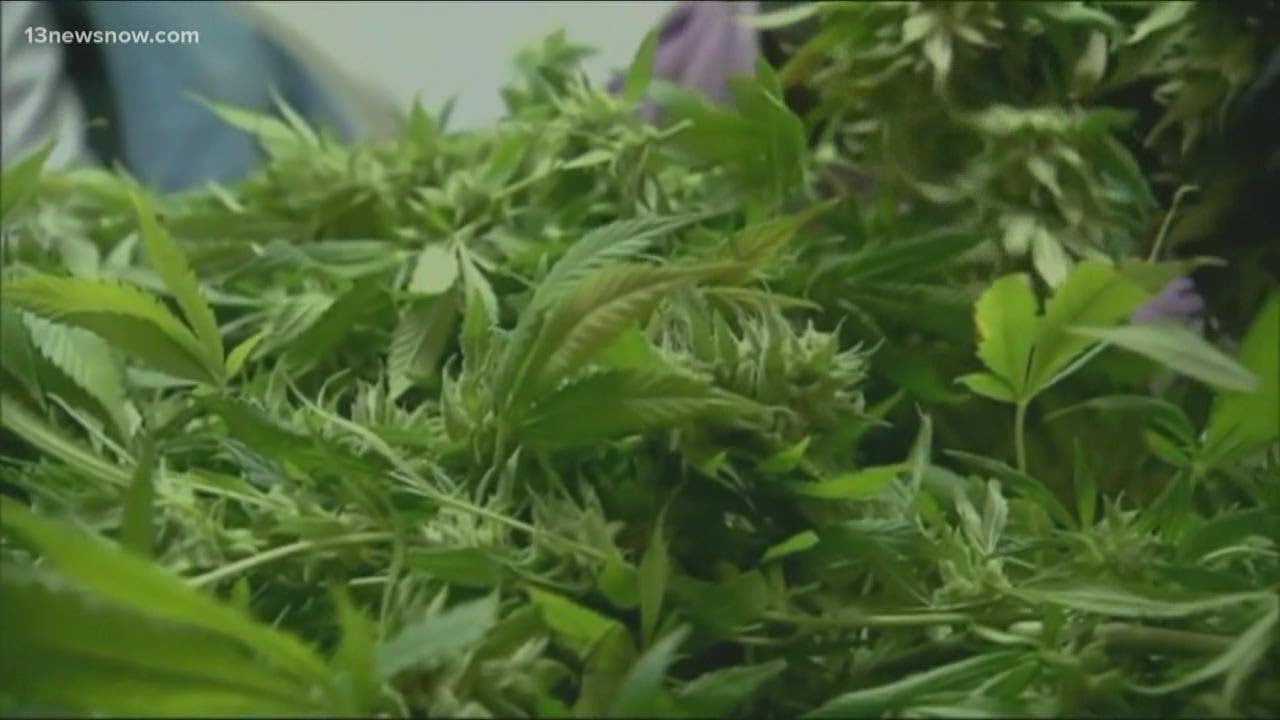 Virginia House, Senate passes marijuana legalization bills