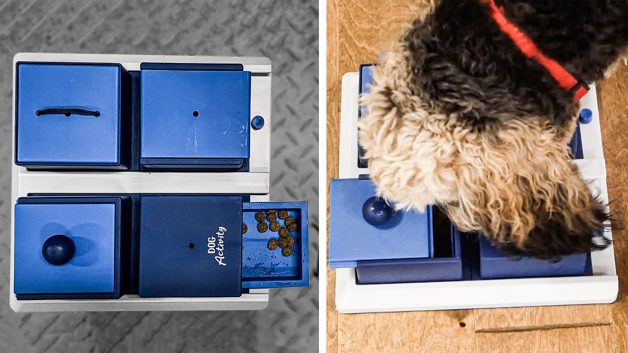 The TRIXIE Poker Box is FUN and Well Built
