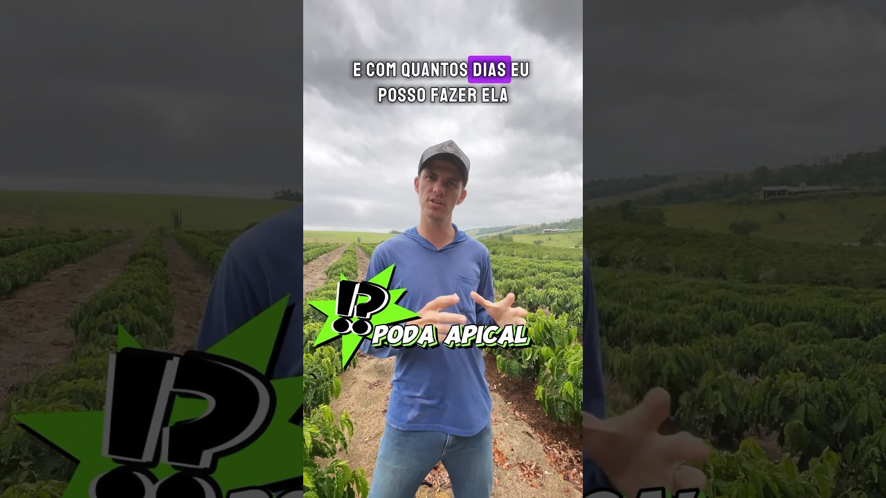 Pra que serve a poda apical?🌱 #caf&eacute;