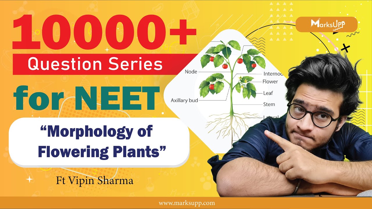 10000+ Questions Series for NEET | Morphology of Flowering Plants | NCERT Based Question Practice
