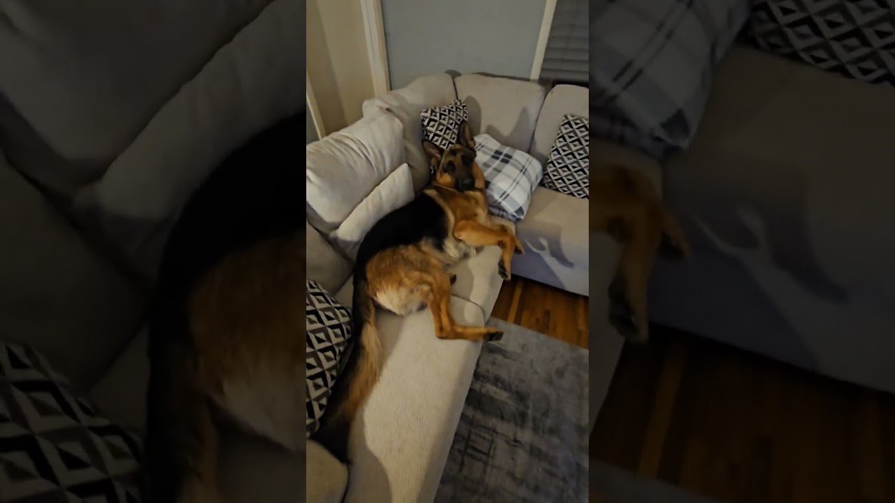 I wonder if he'll take just a little lick?