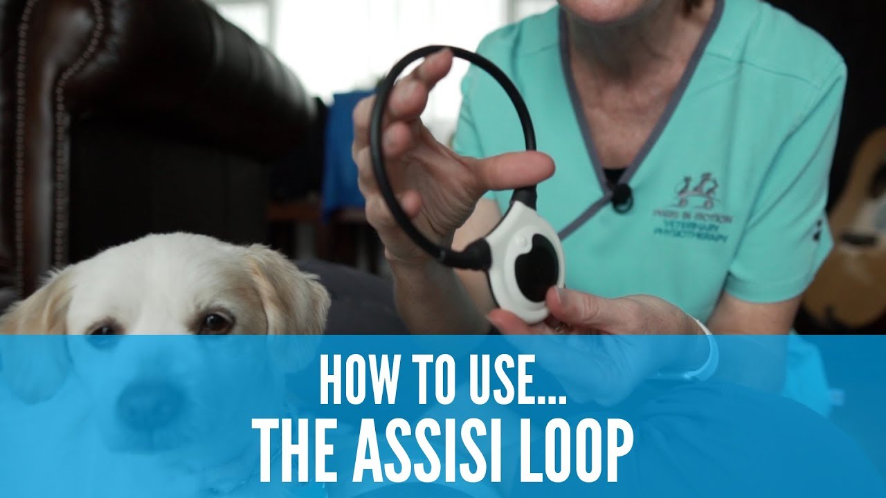 How to use the Assisi Loop (How To 影片系列- Assisi Loop  )