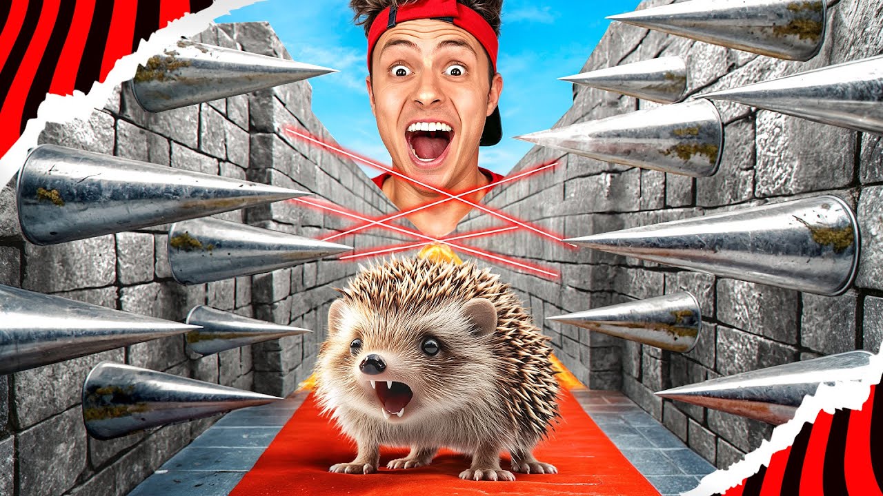 CONSTRUÍ UM LABIRINTO EXTREMO PARA O MEU PORCO ESPINHO! *Spike