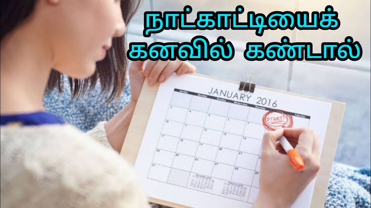 நாட்காட்டியைக் கனவில் கண்டால்|natkattiyai kanavil kandal|calendar in dream|Anita's clips