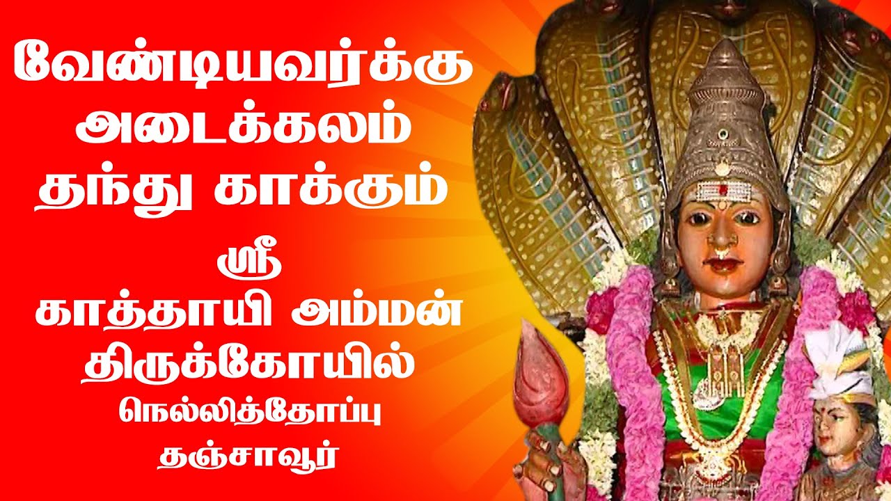 ஸ்ரீ காத்தாயி அம்மன் திருக்கோயில் | Sri Kathayi Amman Temple | Thanjavur | Deiva Darisanam
