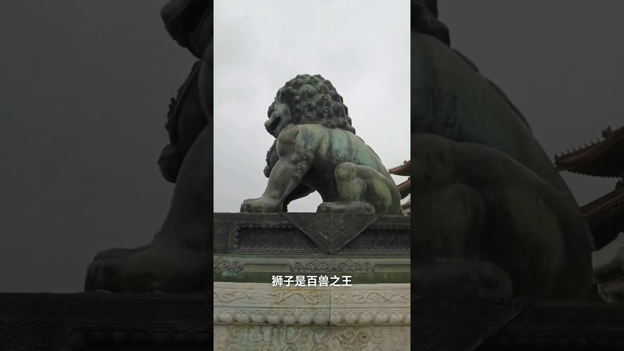 故宫太和门前的铜狮，是故宫最大的一对古铜狮#记录真实生活 #旅行