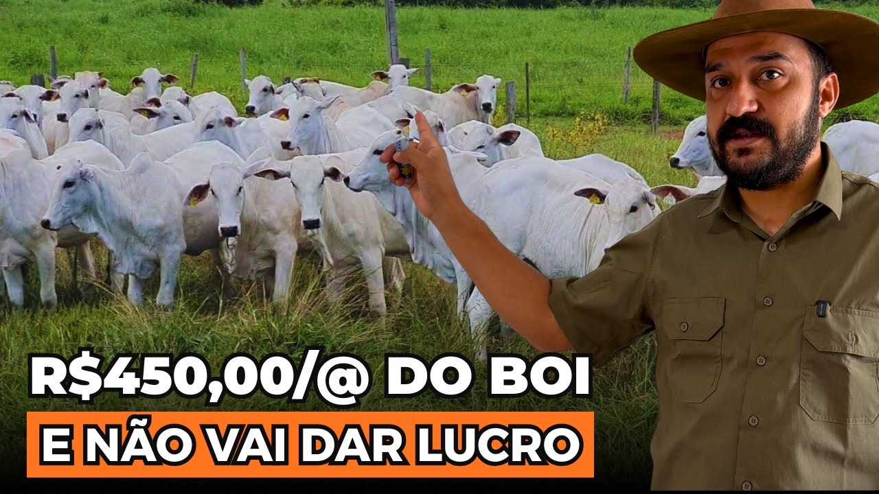 A PECUÁRIA VAI ACABAR MESMO COM AUMENTO NA @ BOI