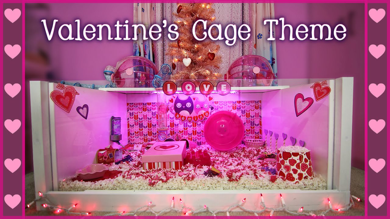 Carob's VALENTINE'S DAY Hamster Cage Theme
