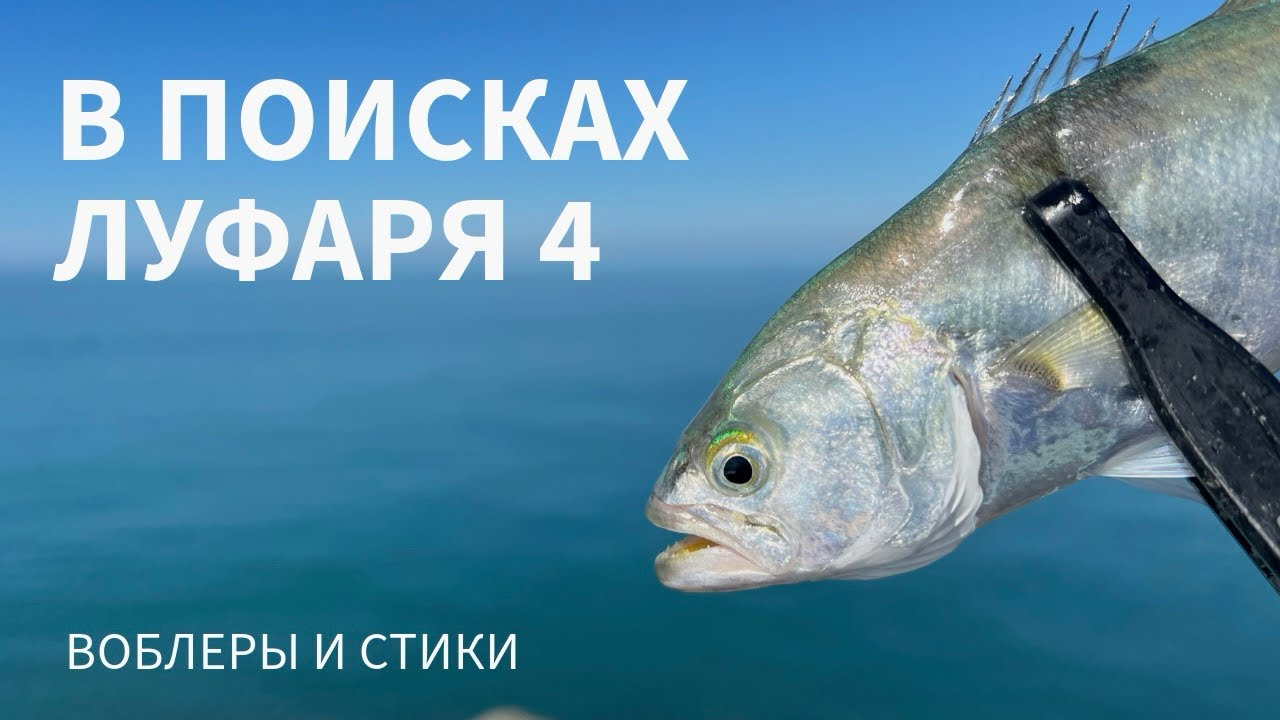 Луфарь на воблеры и стики. Рыбалка в Сочи осенью.