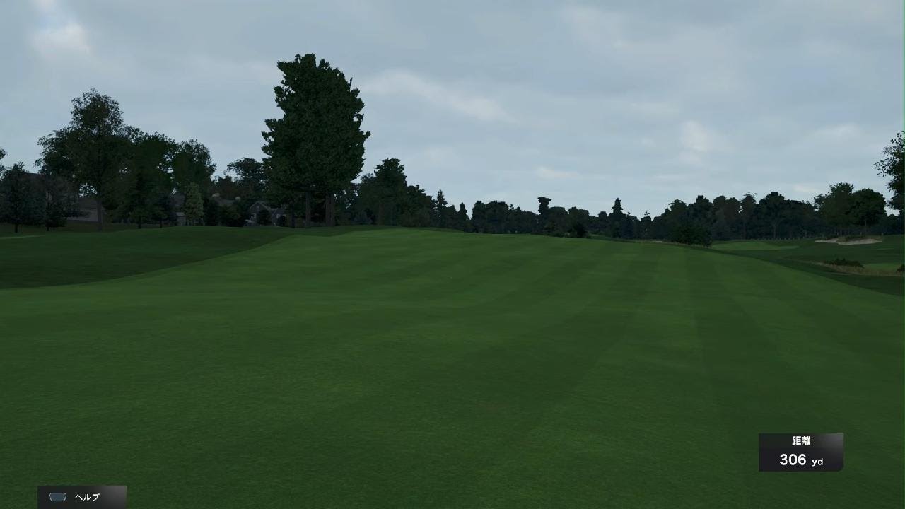 (79) Merion (East)