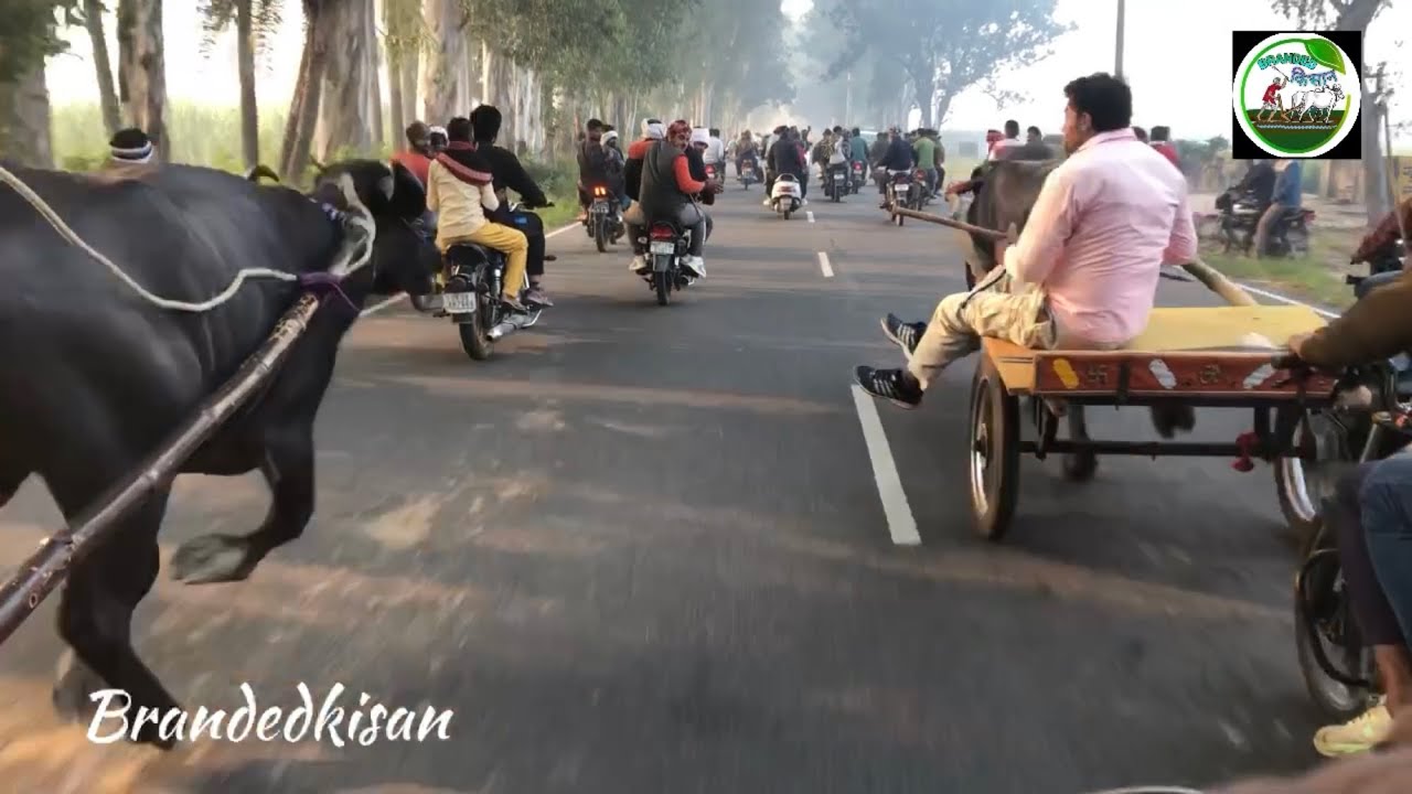 भूरा सैनी और रिंकू घोरा के बीच हुआ एक प्यार का मैच जिसमें दूरी 3700 मी०।। जिसमें विनर भूरा सैनी रहे।