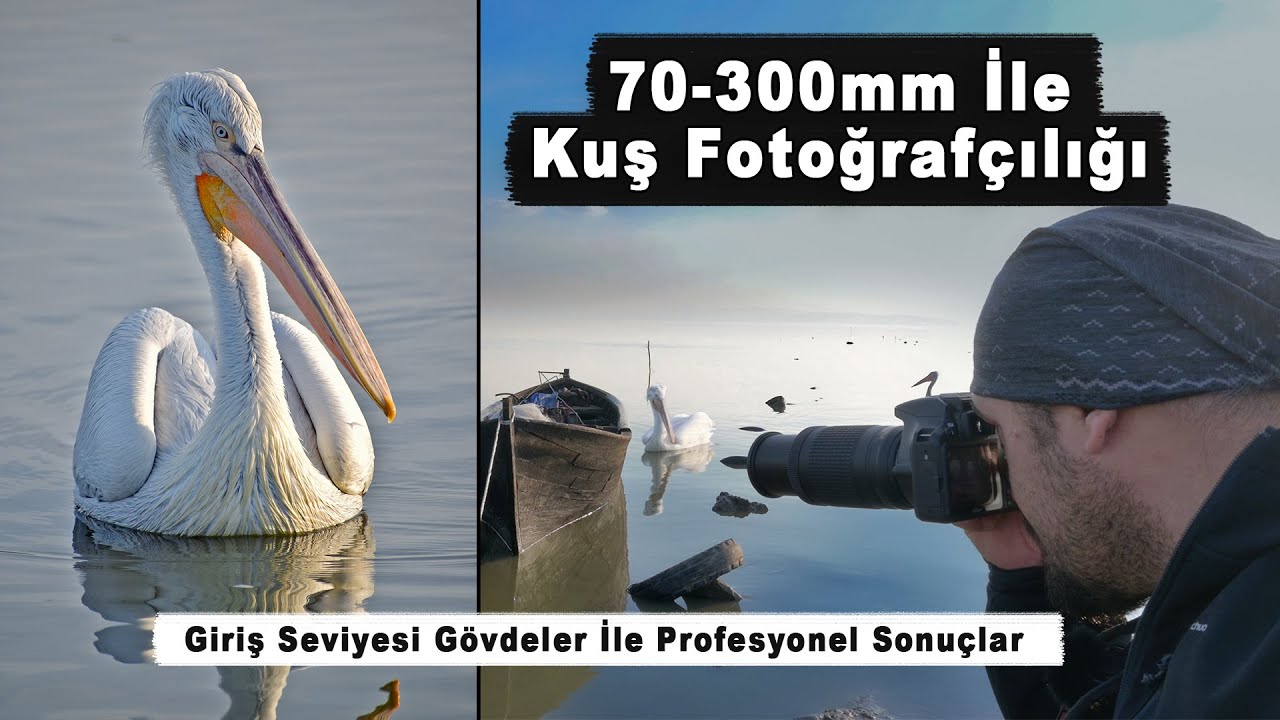 Giriş Seviyesi Gövde ve Lensler İle Kuş Fotoğrafçılığı | Nikon D3500 ve Nikon 70-300mm VR
