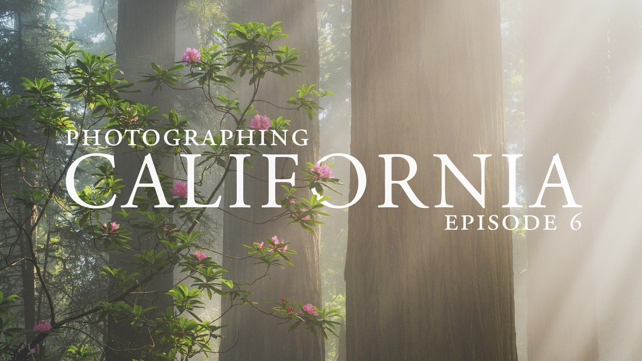 Travel Photography on the California Coast // Fuji X-T5